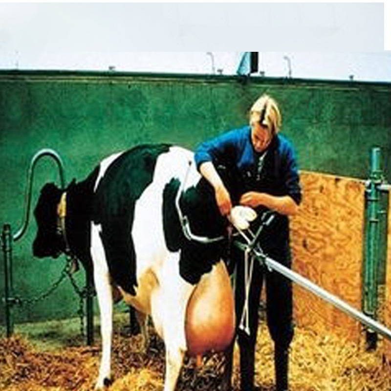 Ayuda a la entrega de la vaca de estilo europeo vaca caballo distocicia entrega de acero inoxidable herramienta auxiliar entrega de ternera equipo de cría de animales