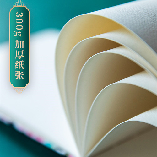 Feile Bird Watercolor Book 300g Thickened 16K32k Portable National Style Fabric Cover Book Art Painting Color Lead Book