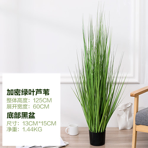 Planta artificial de interior – maceta decorativa con ave del paraíso, árbol viajero y bonsái falso