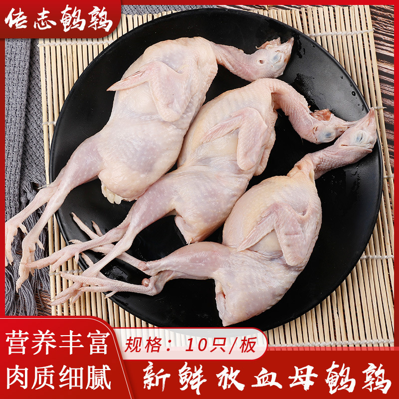 Quail Meat Fresh Big Mother Frozen Fresh Frozen Meat Bloodletting Now Kill Live White Slave Barbecue Fried Stew Raw Bone and Meat Quail Meat Fresh Big Mother Frozen Fresh Frozen Meat Bloodletting Now Kill Live White Slave Barbecue Fried Stew Raw Bone and Meat