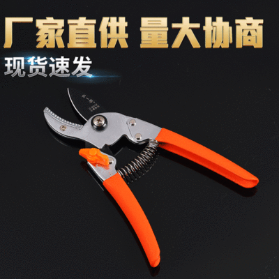 修枝剪佐一郎园林果树果枝剪工业级剪枝剪树枝葡萄摘果剪园艺剪刀