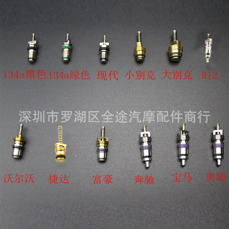 В наличии R134aR12 автомобильный сердечник клапана кондиционирования воздуха сердечник клапана быстрого Слива сердечник клапана наполнения сопла