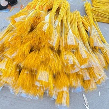 大麦麦穗开业大麦干花大麦花篮原色麦穗拍摄道具大麦花束