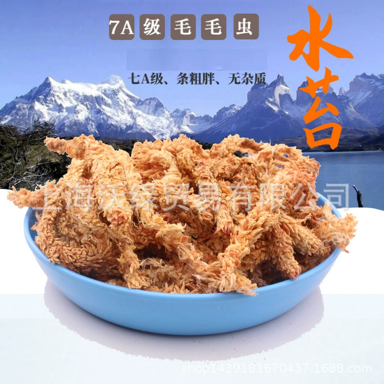 Мох сфагнум, водное растение, 4.5-5kg фаленопсис, орхидея, суккулент