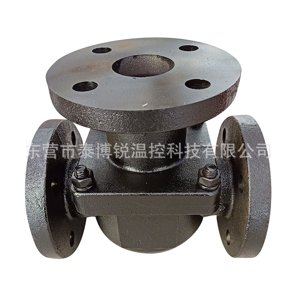 温控阀总成TV1  HTTV2 可开发 法兰、螺纹安装接口2寸