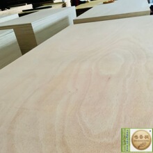 10MMWNzϰ塢ǹzϰ塢ˇƷð