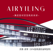 ՉCƤ ͎ SPA͸ٷխ͎ m ՉC