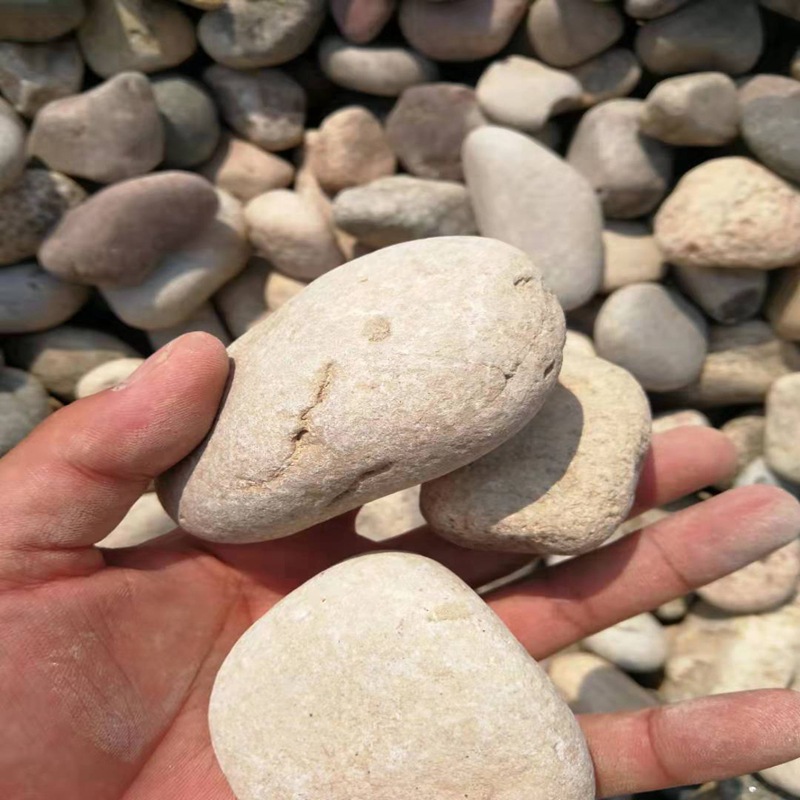 厂家供应砾石承托层  质优价廉  水处理鹅卵石 工程造景用