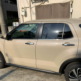 其他汽车外饰;脚踏板;其他汽车内饰