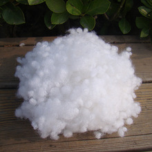 �S�ҹ����ߏ�����������w�������^�����������PP��ë�q�����