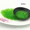 Transparent grass green
