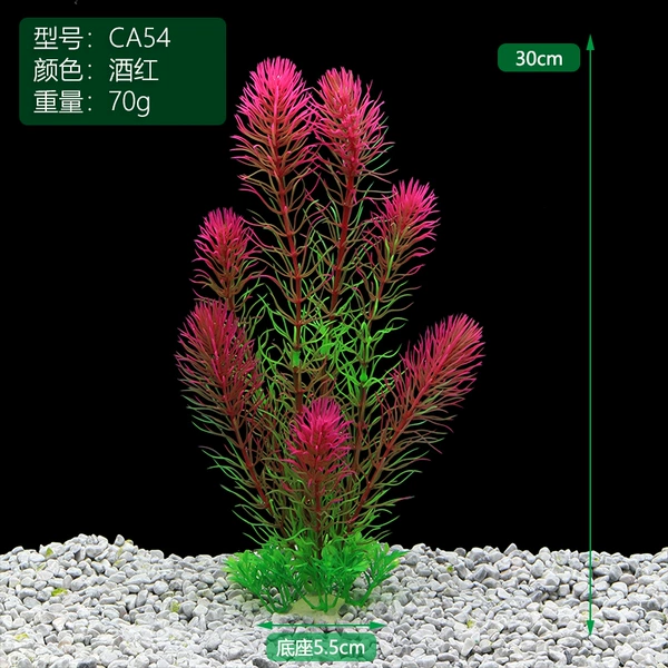 CA54-wine red
