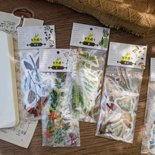 ��ĭPET�N���� ���A�θ�ϵ�� ֲ������~�ز�DIY�b��N 8��