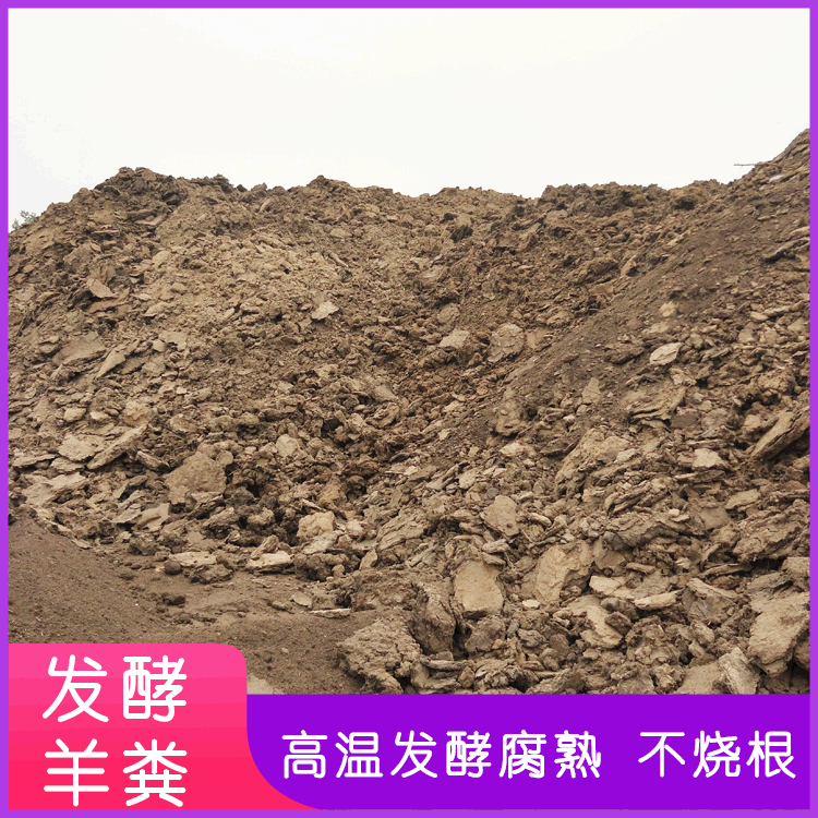 羊粪肥高温腐熟发酵有机肥农家肥料蔬菜兰花肥料植物瓜果