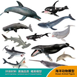 仿真海洋模型动物套装大白鲨巨齿鲨海豚鲨鱼玩具儿童实心塑胶摆件