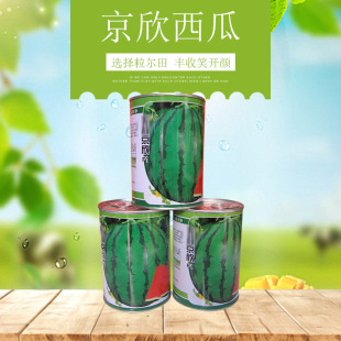 �����ﾩ�����ϷN���������ϷN�Ѵ����＾����¶�ػ��طNֲ�N