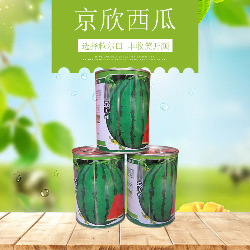 粒尓田京欣西瓜种子麒麟西瓜种籽春季秋季大棚露地基地种植种