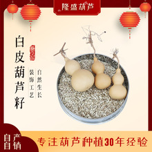 ��Ƥ���J�� ͥԺ�Nֲ����С�������J�� ����������J�N������ֲ��