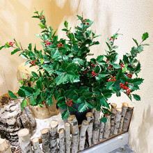 ��Ʒ؈���̙����b���������^�b˽Ǵ̷�����~�۹ǏS�����l