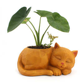 创意立体懒猫花盆 桌面盆栽多肉花盆动物摆件 花园家庭装饰植物盆