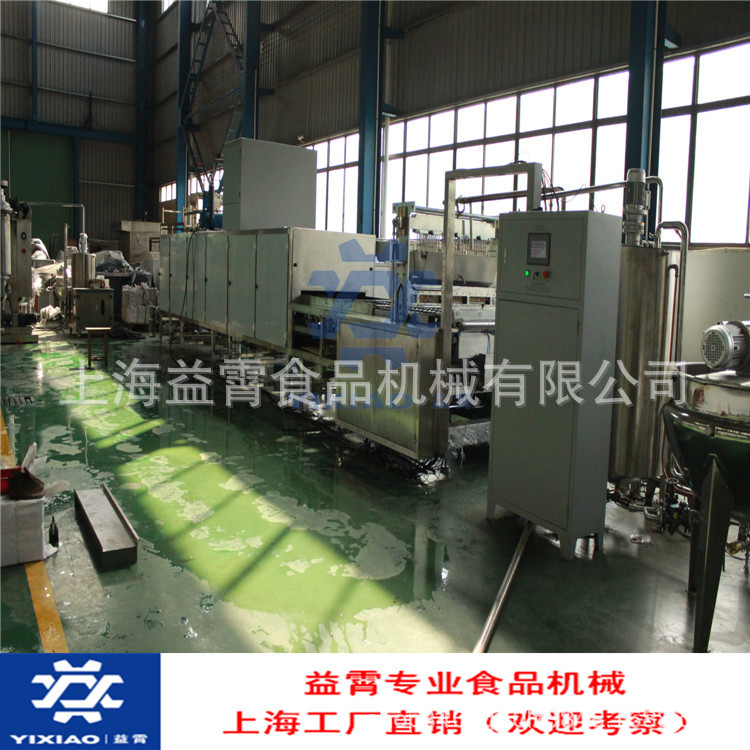 全自动扁平棒棒糖浇注线 硬糖成型设备 上海益霄糖果机械厂家机器