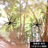 Decorations, props, halloween, spider