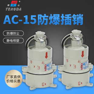 Tenda Ac-15A/380V/220V Explosion-Proof Plug Electrostatic Spray Plastic Explosion-Proof Fire Socket Manufacturer Wholesale