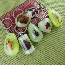 创意小礼品 时尚潮流夜光琥珀钥匙扣挂件 有真昆虫海螺等标本项坠