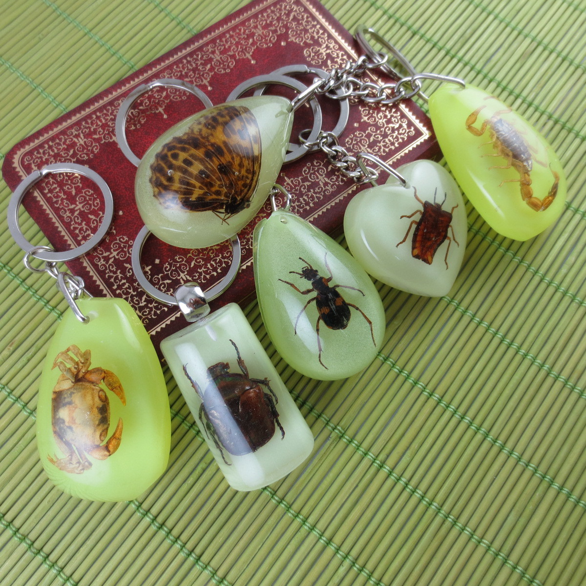 创意小礼品 时尚潮流夜光琥珀钥匙扣挂件 有真昆虫海螺等标本项坠