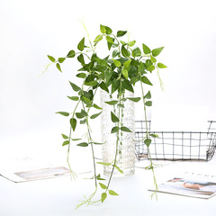 婚慶裝飾仿真植物假花綠植蕨類壁掛垂吊葉子藤條仿真鐵線蓮長款