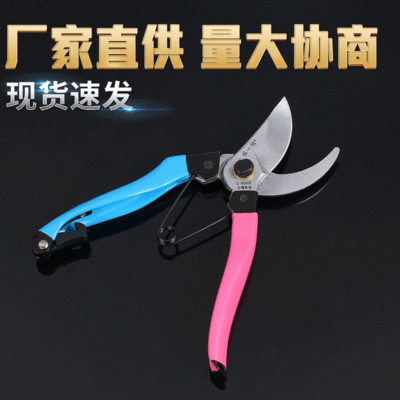 Pruners Ichiro Gardening shears Pruners multi-function Picking shears Plastic handle Asperata scissors Fruiting gardens tool