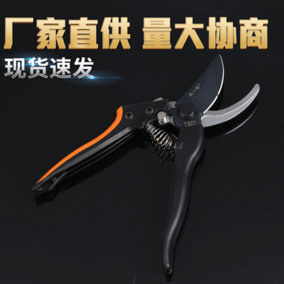 跨境果枝剪佐一郎不锈钢pvc柄果树修枝剪花艺剪园林园艺工具剪刀