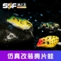 改装远投淡水青蛙雷蛙