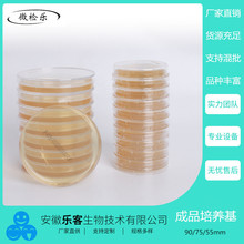 55mm/60mm亚硫酸铋琼脂表面培养基 BS 营养琼脂