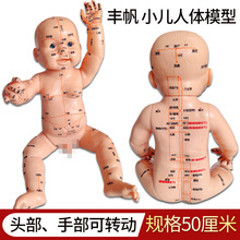 小儿推拿模型按摩婴儿模型50cm娃娃带穴位 针灸穴位娃娃批发
