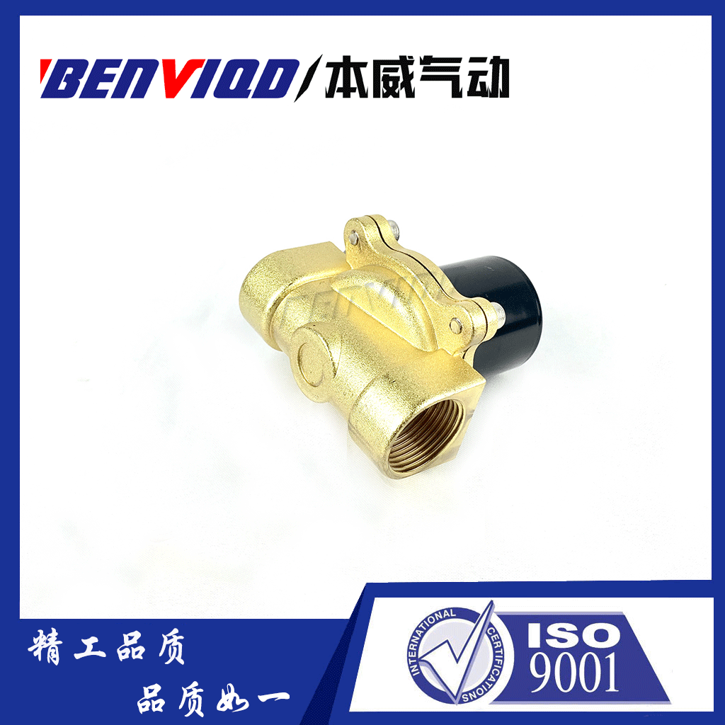 常闭黄铜电磁阀2W-250-25   24V控制进水放水阀气阀水管电子开关