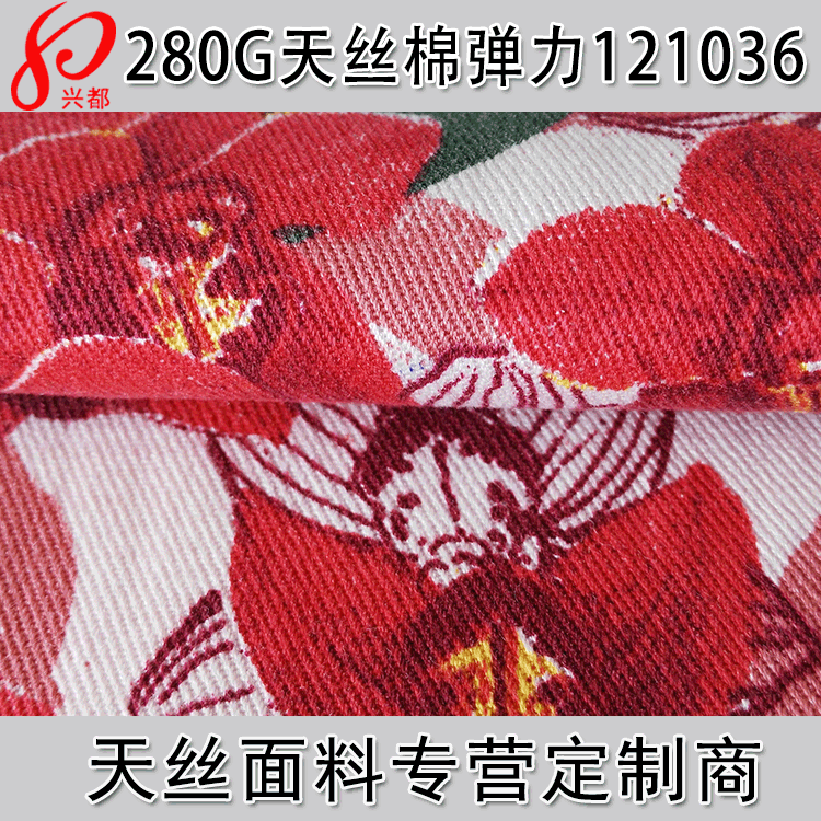 天丝棉弹力印花布 斜纹 数码印花/喷墨印花/活性印花天丝面料