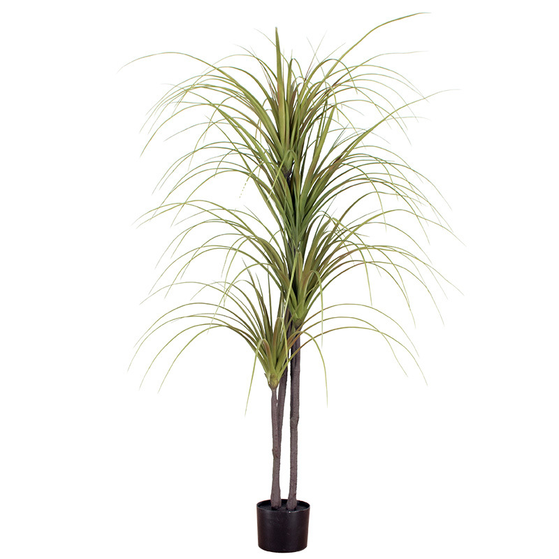 Árbol de sangre de dragón artificial bonsai árbol de yuca árbol de barba de dragón mil años madera decoración artificial Cola de Caballo hierro Brasil hierro olla falsa