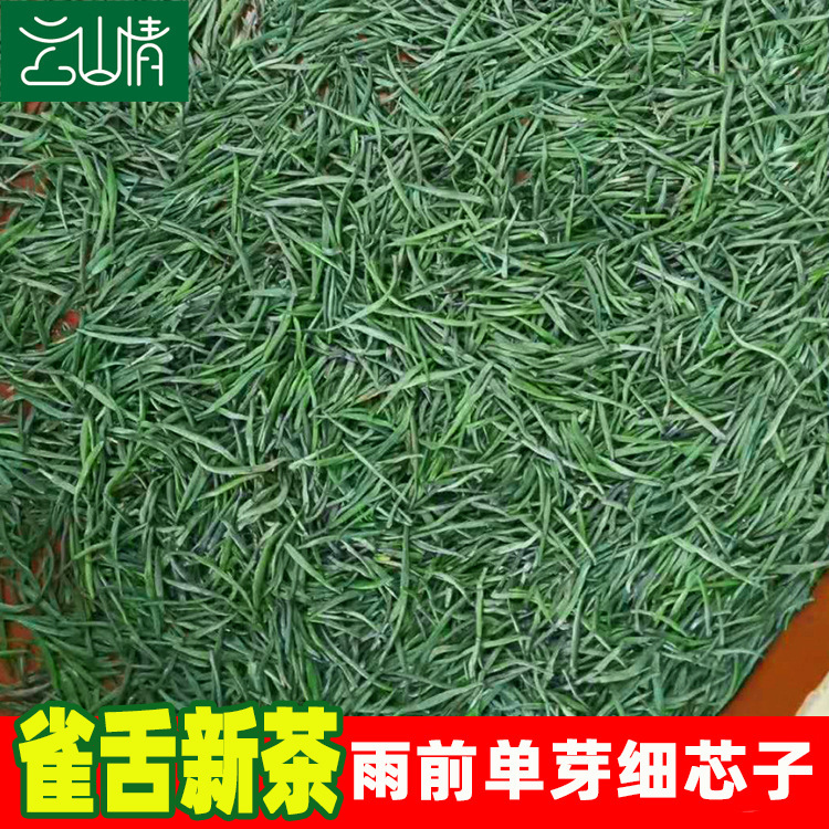Que She Quanyaya Tea, Meitan Cuiba Green Tea from Guizhou High Mountains, Wholesale Loose Green Needle Bamboo Leaf New Tea, Spring Tea