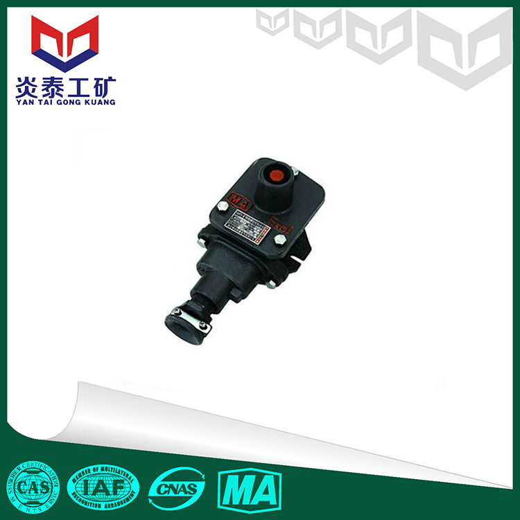 BZA10矿用隔爆型控制按扭，控制按钮 按钮