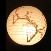 White Aomei 40cm
