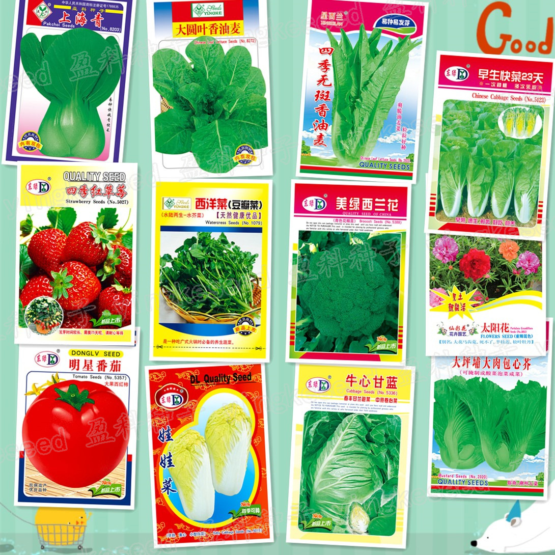 夏秋季包邮一元摊易种彩包蔬菜种籽厂家直批四季好口碑菜种子批发