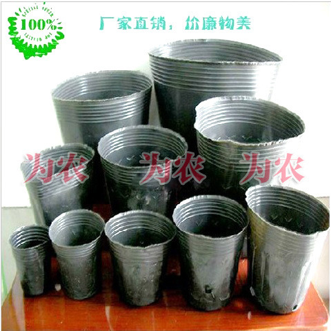 Special nutrition bowl for garden flowers, nutrition bag, nutrition cup, plastic simple seedling pot, nutrition pot, seedling bowl