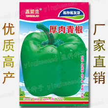 �����ཷ�N�� �s50�� �𽷷N�� ����˽� �� ���ӽ� ���\���N��