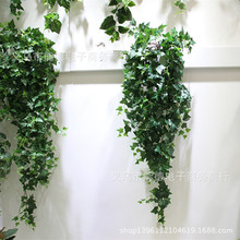 ���澫Ʒ�ٗl�ع��ٱڒ������������~��ֲ���ļҾӾG���b�