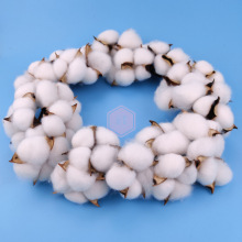 �ֹ��޻��ɻ��h�}�Q��Ȧ�T鹿͏d��ͥ�Ɍ������b��T�컨