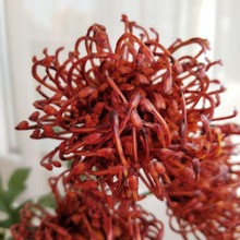 �S����� ᘉ|�� �Ҿӿ͏d�Ӱ��g�b�c���յ��߷��滨�ٻ����l