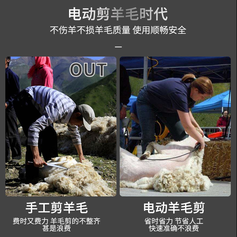 Cortador de lana eléctrica Clipper de lana profesional Clipper de lana eléctrica Clipper actualización velocidad ajustable