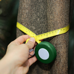 Stable Diameter Tape 2m PVC Tree Diameter Tape Tree Girth Pipe Circumference Tape Diameter Measurement Soft Tape