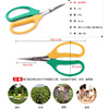 Wang Wuyu 2108 Garden Scissors Law Garden Cut Grape Cut